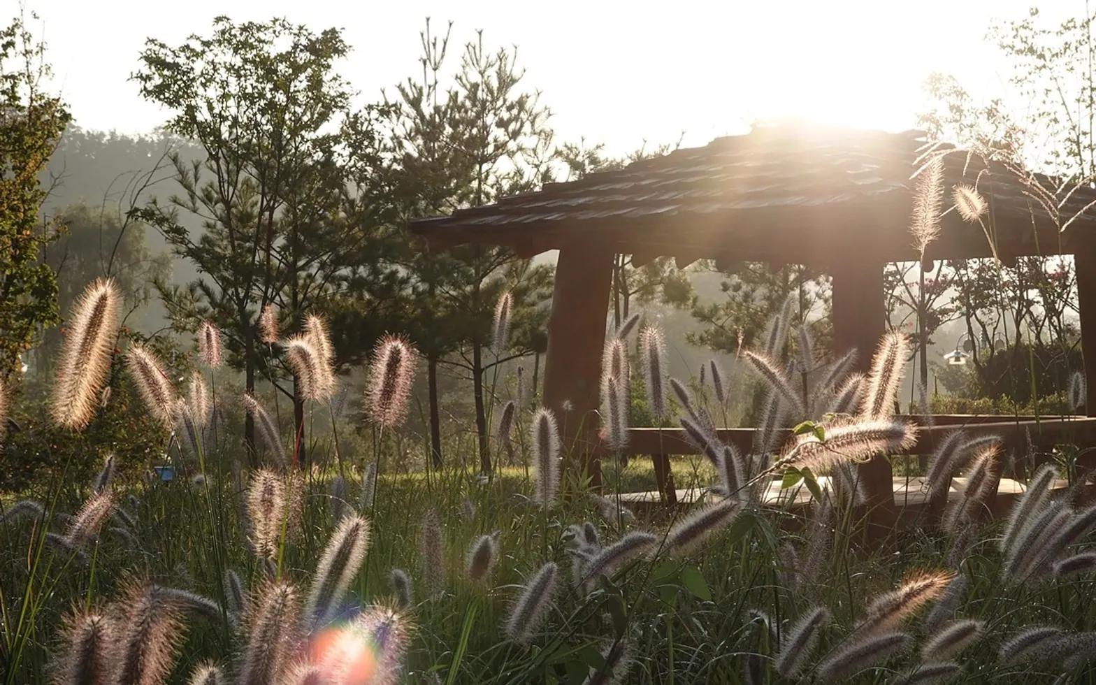 Peace, asian and pavilion