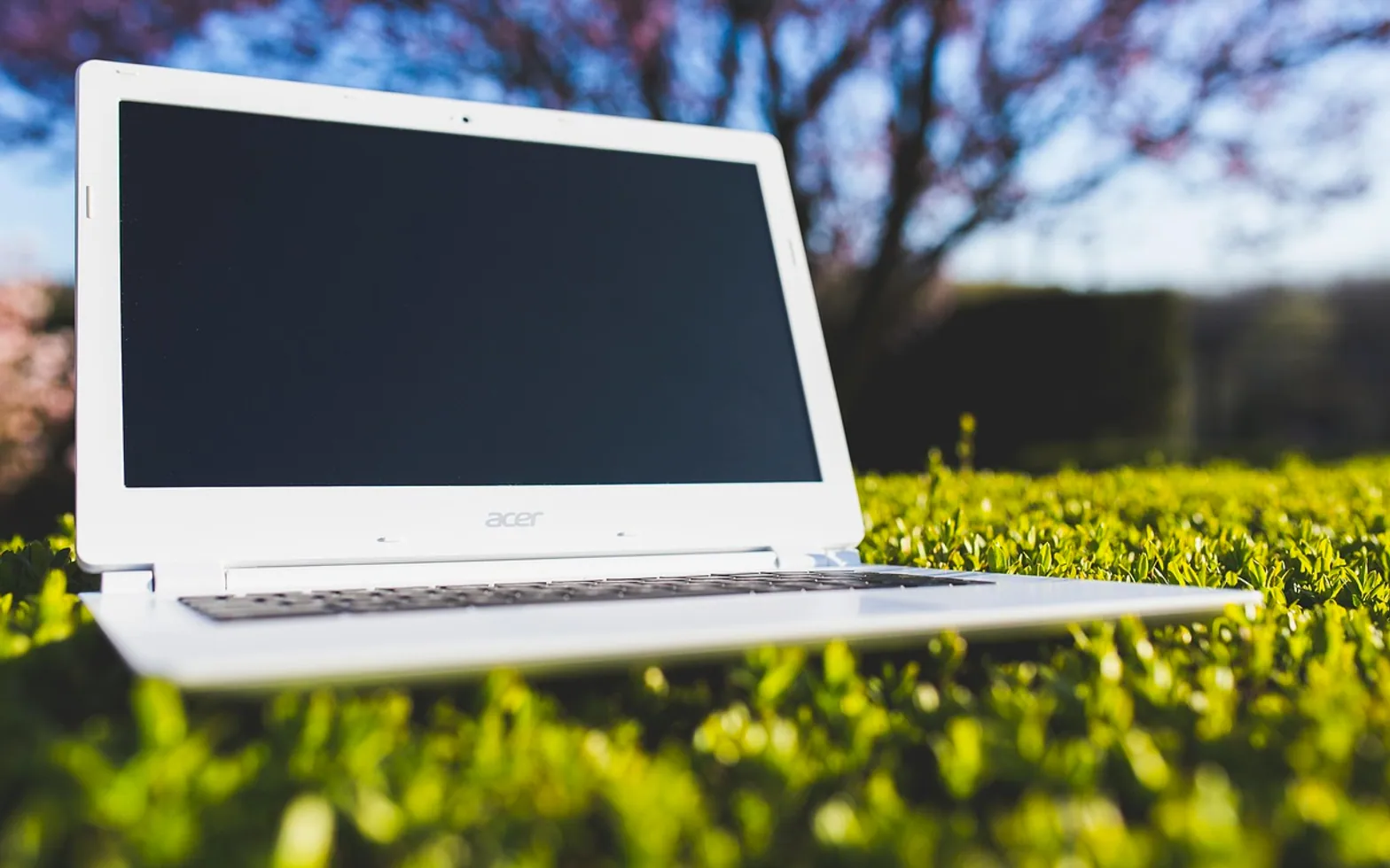 Laptop, grass and acer